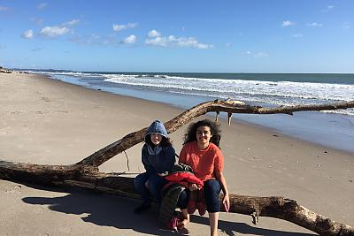 出国留学期间，学生们坐在沙滩上的圆木上.